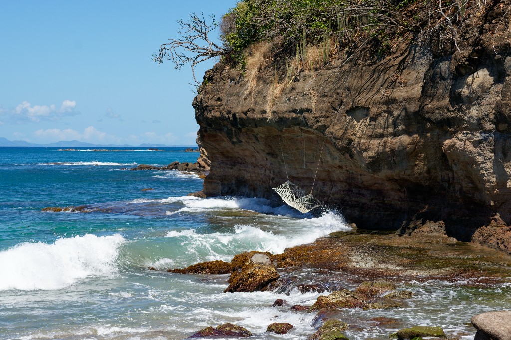 From Alaska to Antarctica: The Best Cruises for Wildlife Enthusiasts